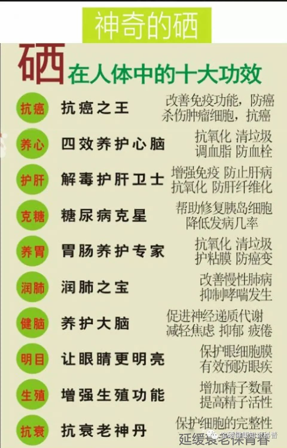 王广仪教授每天补多少硒（补硒专家王广仪）-硒宝网