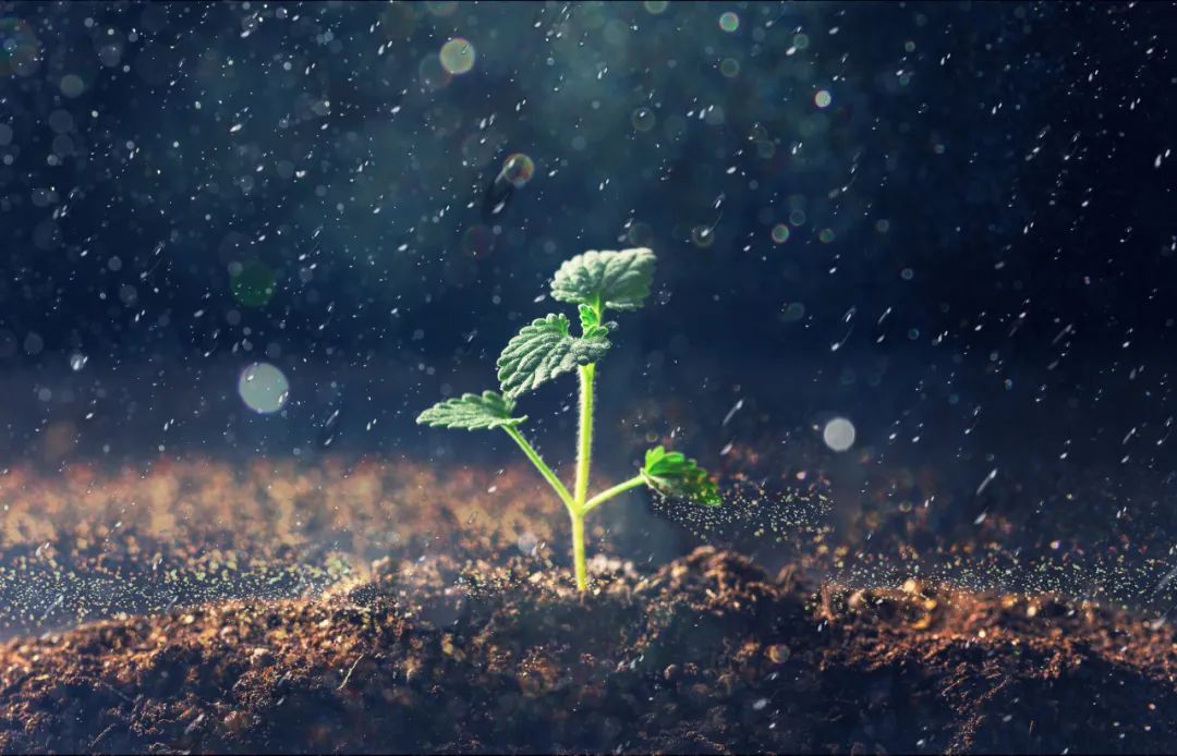 全部补硒什么时候开始的（补硒一般需要补多久）-硒宝网