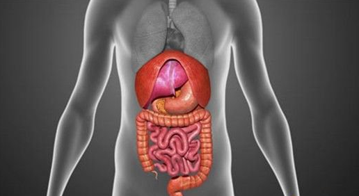 白细胞多的人可以补硒吗(补硒会变白吗)-硒宝网