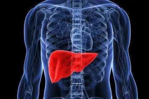 白细胞多的人可以补硒吗(补硒会变白吗)-硒宝网