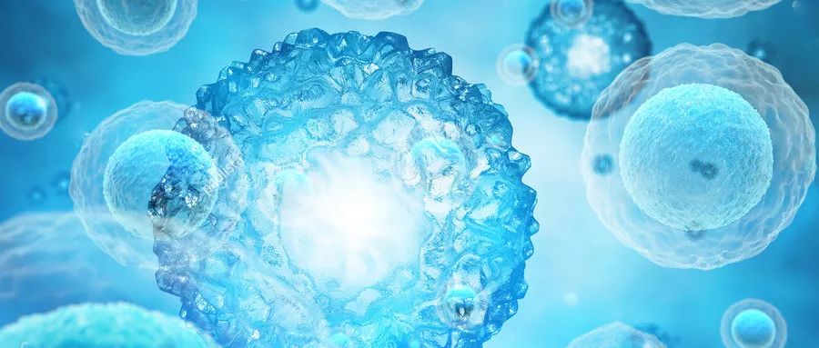 白细胞多的人可以补硒吗（补硒能治疗白内障吗）-硒宝网