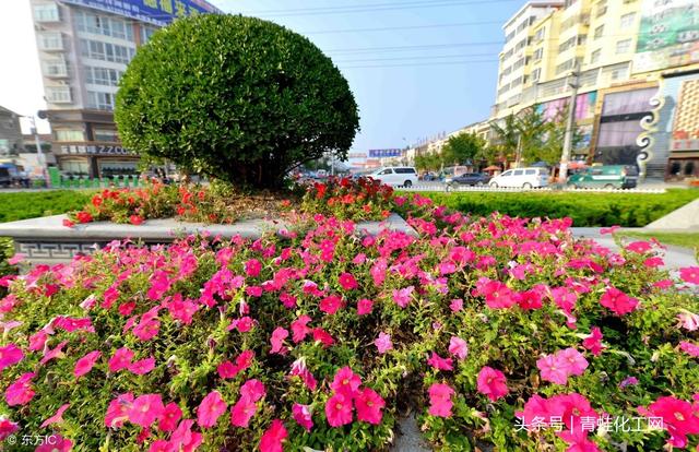 为什么老人更需要补硒呢(老人补硒的好处)-硒宝网