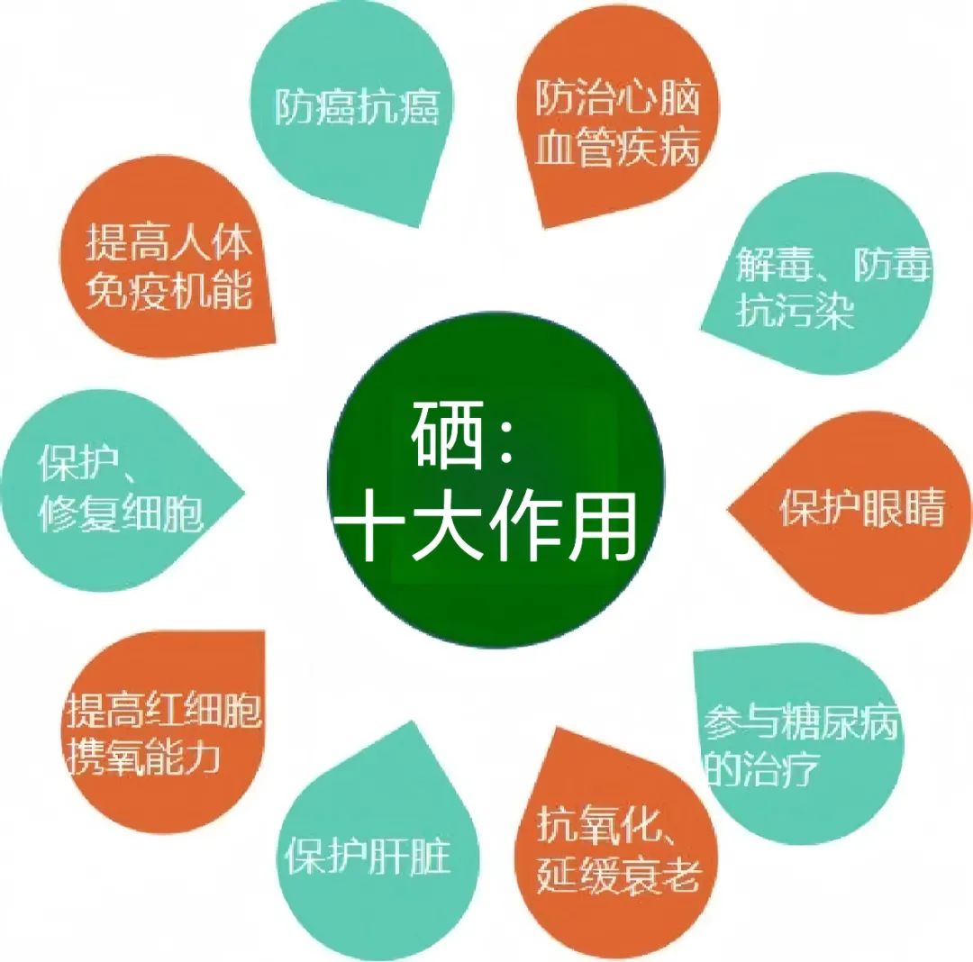 517全民补硒日宣传片（全民补硒是骗局吗）-硒宝网