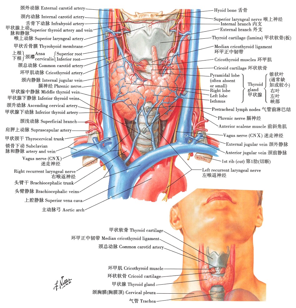 干燥综合征患者能补硒吗（干燥综合症可以补硒吗）-硒宝网