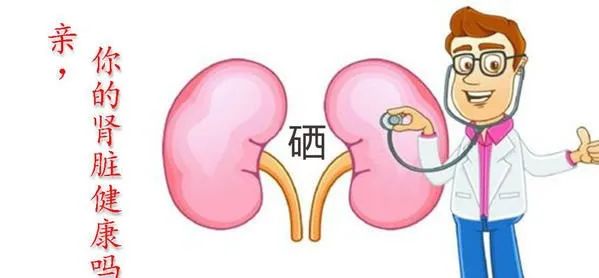 可以直接进行补硒的食物(补硒可以吗)-硒宝网