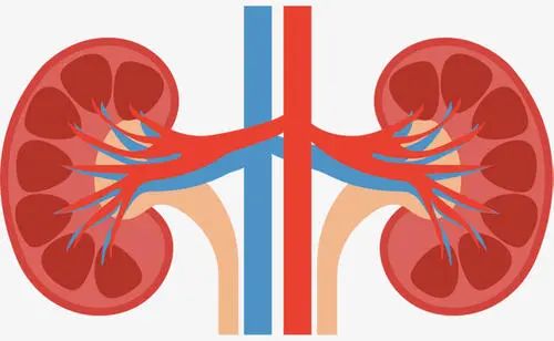 可以直接进行补硒的食物(补硒可以吗)-硒宝网