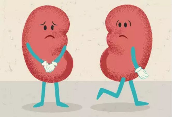 可以直接进行补硒的食物(补硒可以吗)-硒宝网