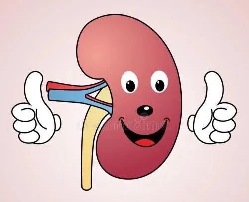 可以直接进行补硒的食物(补硒可以吗)-硒宝网