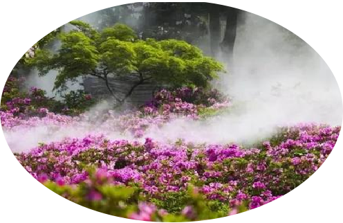 补硒志愿者的要求有哪些（志愿者补贴标准2021年）-硒宝网