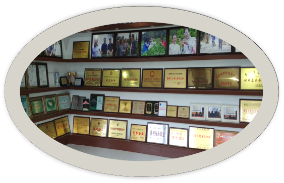 补硒志愿者的要求有哪些（志愿者补贴标准2021年）-硒宝网