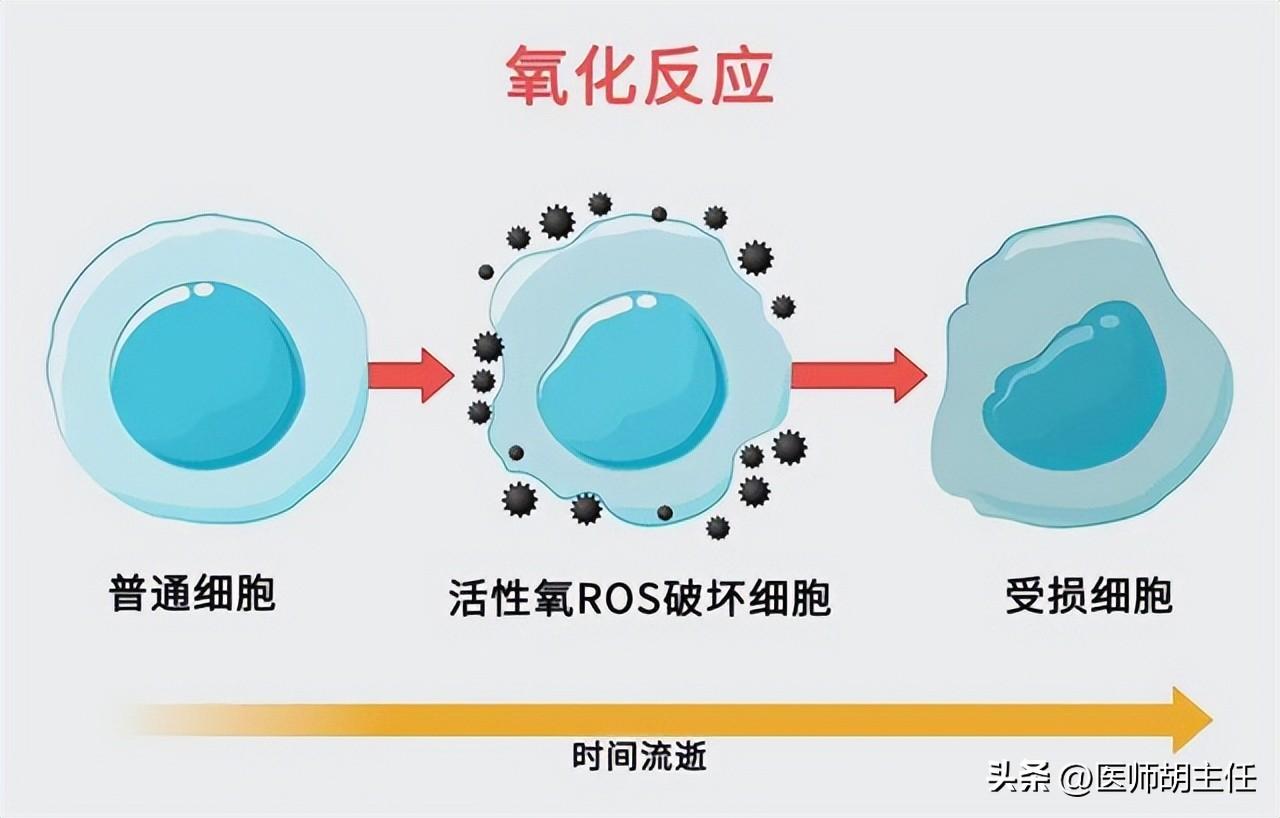 免疫力不够可以补硒吗吗（补硒能增强免疫力吗）-硒宝网