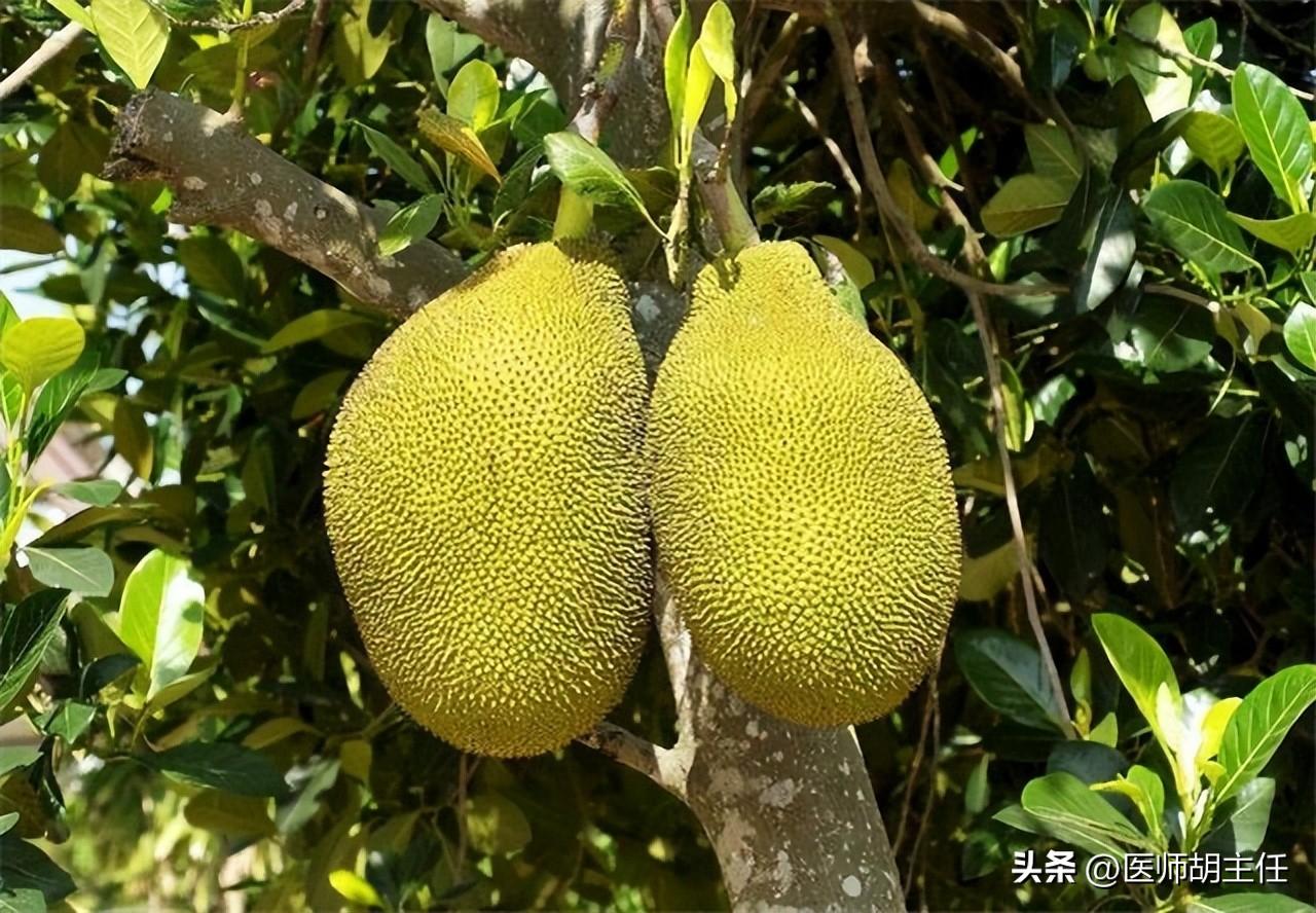 免疫力不够可以补硒吗吗（补硒能增强免疫力吗）-硒宝网