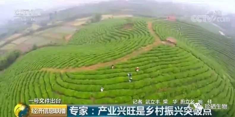 补硒志愿者的要求有哪些(志愿者一天补多少钱)-硒宝网