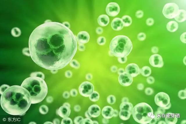 结肠癌病人可以补硒吗吗(病人补结肠癌硒可以吃多久)-硒宝网