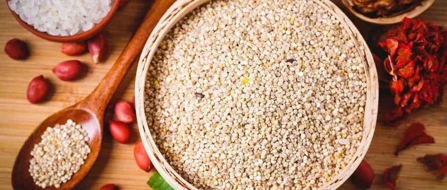 肾结石能不能补维生素硒(硒对肾结石有没有好处)-硒宝网