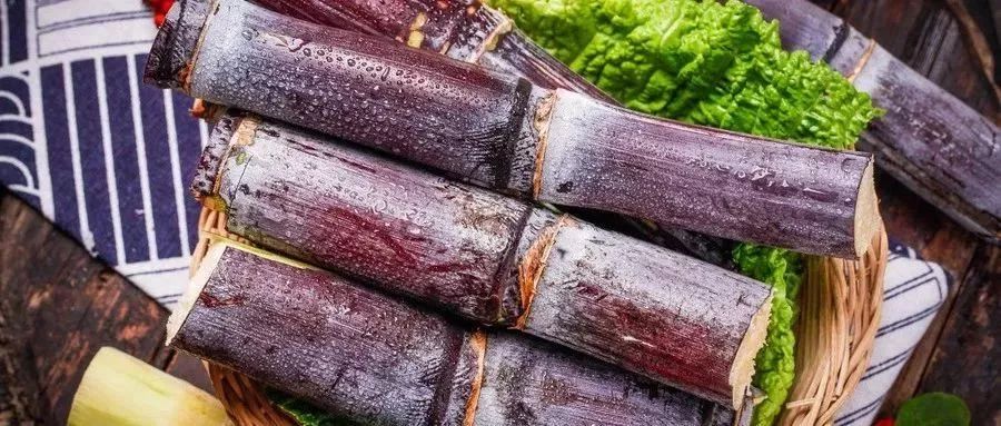 肾结石能不能补维生素硒(硒对肾结石有没有好处)-硒宝网