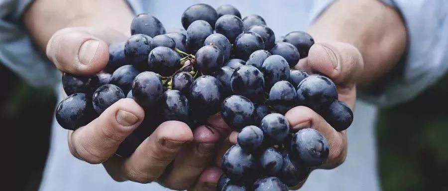 肾结石能不能补维生素硒(硒对肾结石有没有好处)-硒宝网