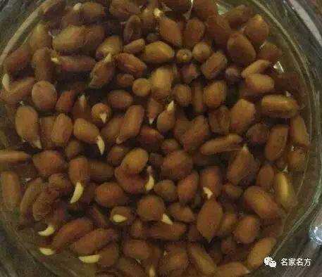 肾结石能不能补维生素硒（肾结石可以补硒吗）-硒宝网