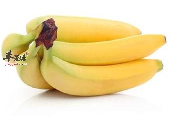 吃苹果可不可以补硒元素（含硒的苹果吃了有哪些好处）-硒宝网