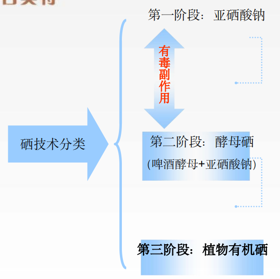 补硒补有机硒还是无机硒（补充无机硒有什么反应）-硒宝网
