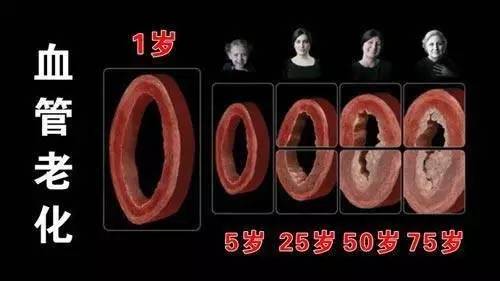 补硒可以吃补药能补硒吗(补硒期间可以喝酒吗)-硒宝网