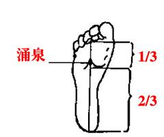补硒可以吃补药能补硒吗(补硒期间可以喝酒吗)-硒宝网
