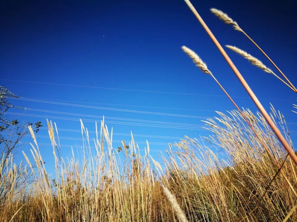 人体补硒吃哪种补硒药好(补硒药)-硒宝网