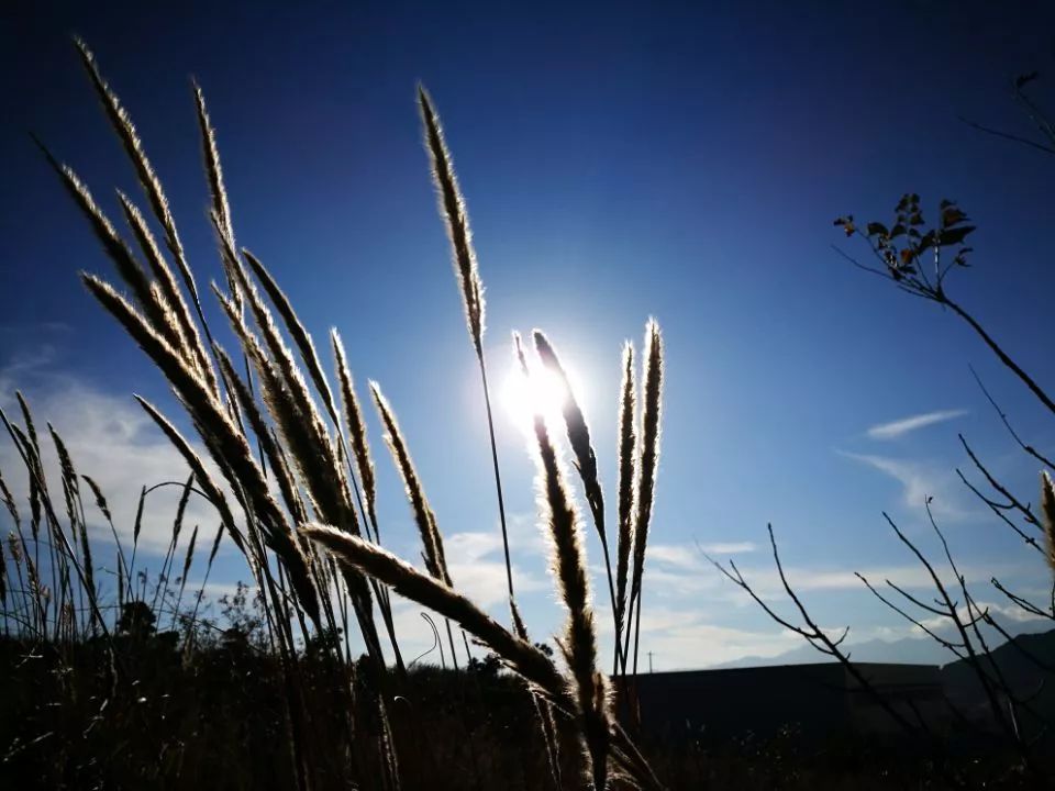 人体补硒吃哪种补硒药好(补硒药)-硒宝网