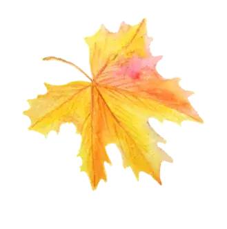 10岁儿童需要补钙吗(补钙儿童需要补钙吗)-硒宝网