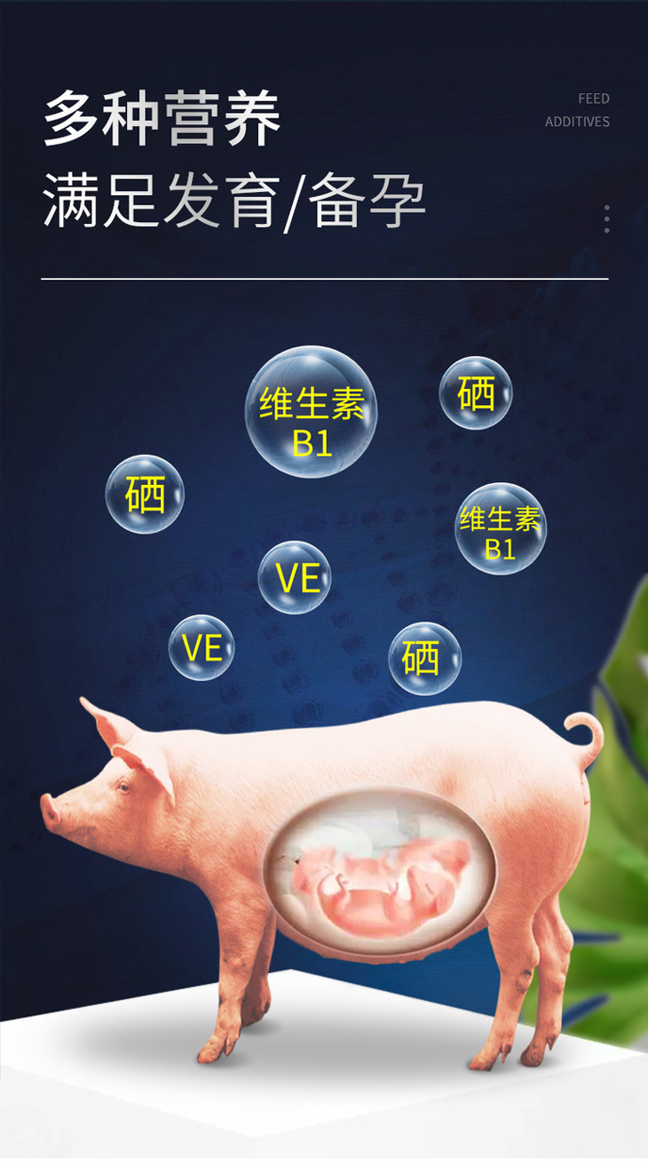 如何给仔猪补硒亚硒酸钠(母猪注射亚硒酸钠怎样用)-硒宝网