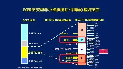 儿童体检缺硒怎么补硒呢(缺硒对儿童的危害)-硒宝网