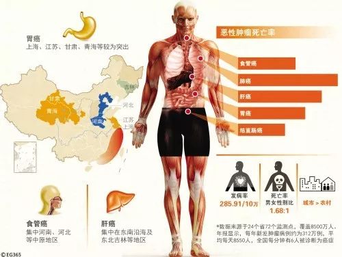 儿童体检缺硒怎么补硒呢(缺硒对儿童的危害)-硒宝网