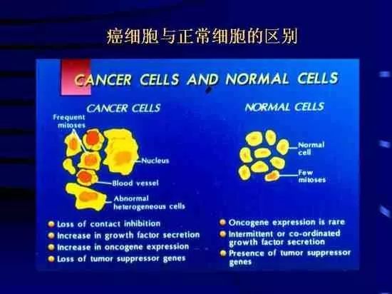 儿童体检缺硒怎么补硒呢(缺硒对儿童的危害)-硒宝网