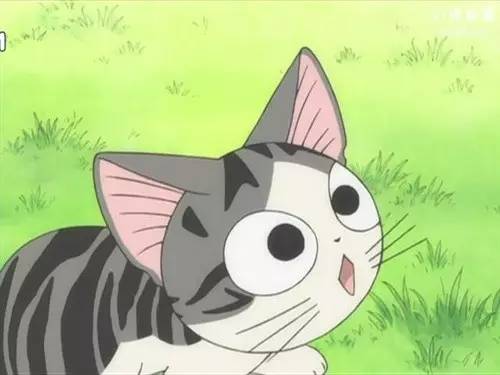 孕妇补铁的药品有哪些（药品孕妇补铁有什么作用）-硒宝网