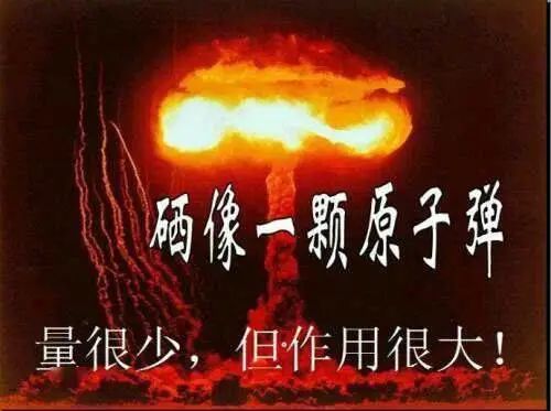 缺硒怎样补硒呢视频教学(补硒视频集锦)-硒宝网