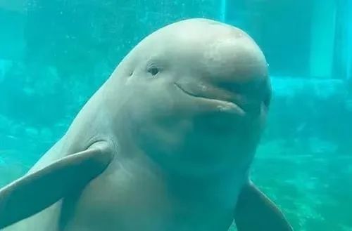 硒方28个国家立法补硒(国家补硒政策)-硒宝网