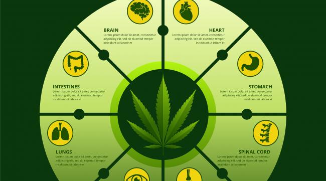 硒钙的作用和补硒的好处(硒补钙吗)-硒宝网