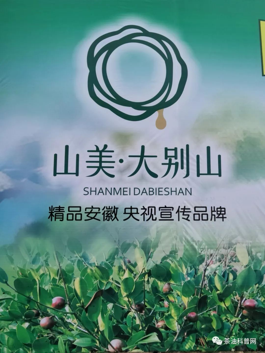 富硒茶都补硒吗怎么吃好(富硒茶补硒吗)-硒宝网