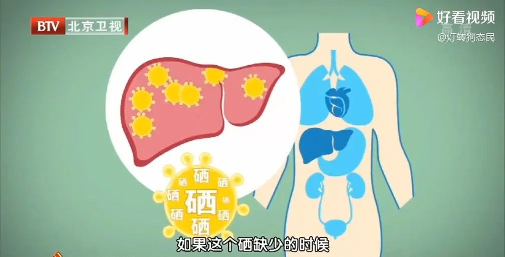 人体缺硒怎么办如何补硒(人体缺硒用什么补)-硒宝网