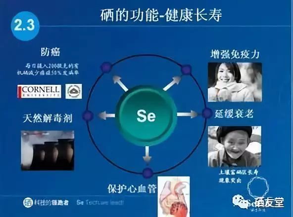 中国人缺硒怎么补硒最快(缺硒人群)-硒宝网