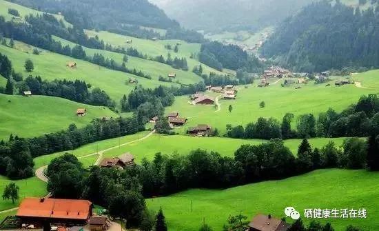 补硒指的什么食物含硒多(硒补食物含指标有哪些)-硒宝网