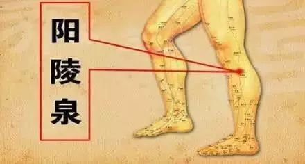 补硒和不补硒完全不一样（补硒制剂）-硒宝网