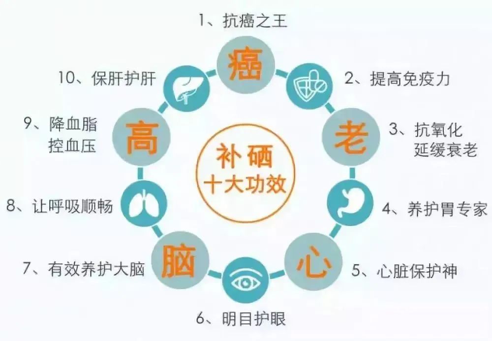 补硒指的什么食物含硒多(硒的补充食物)-硒宝网