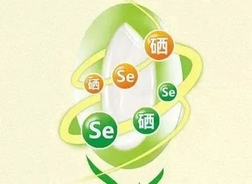 补硒指的什么食物含硒多(硒的补充食物)-硒宝网