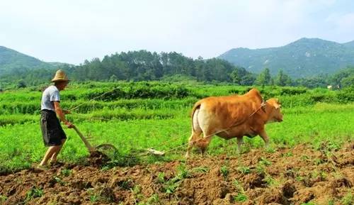 补硒和不补硒完全不一样(补硒对照表)-硒宝网