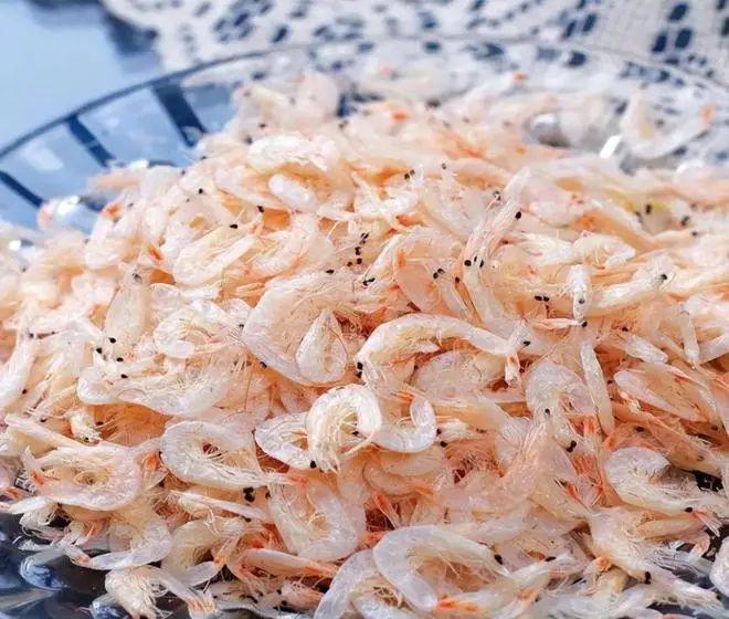 什么东西最补钙(什么东西可以补钙)-硒宝网