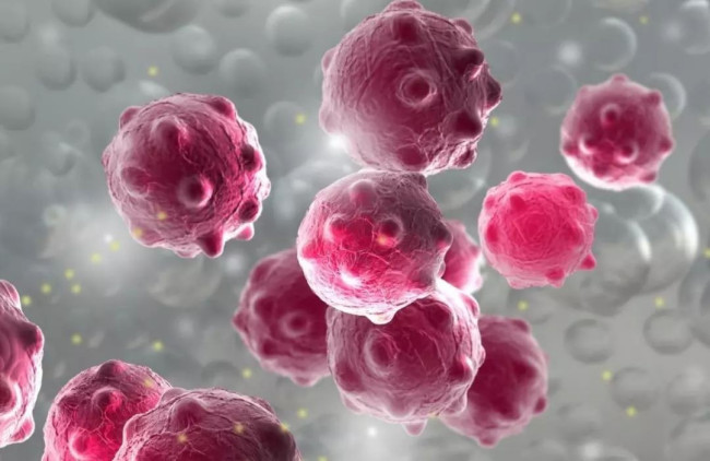 hpv转阴补硒还是补e（hpv转阴吃硒优素）-硒宝网