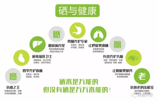 补硒和不补硒完全不一样(补硒剂是什么)-硒宝网