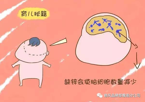 儿童补锌哪个牌子的好吸收效果好(好效果牌子吸收儿童补锌的药)-硒宝网