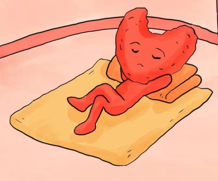 不同甲状腺疾病补什么硒（疾病补甲状腺硒有用吗）-硒宝网